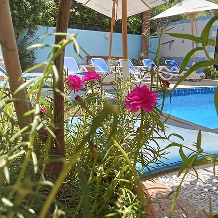 Luxor Palace Apartments Ngoại thất bức ảnh
