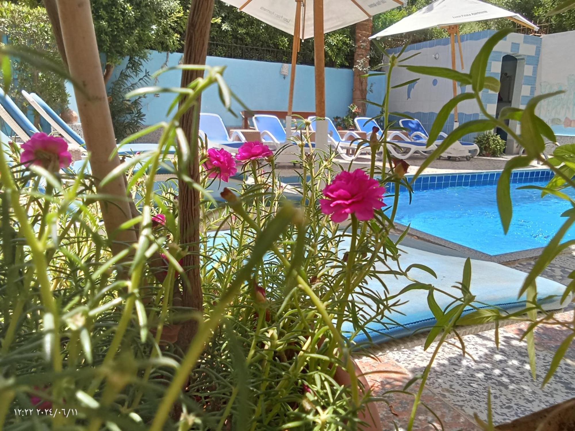 Luxor Palace Apartments Ngoại thất bức ảnh