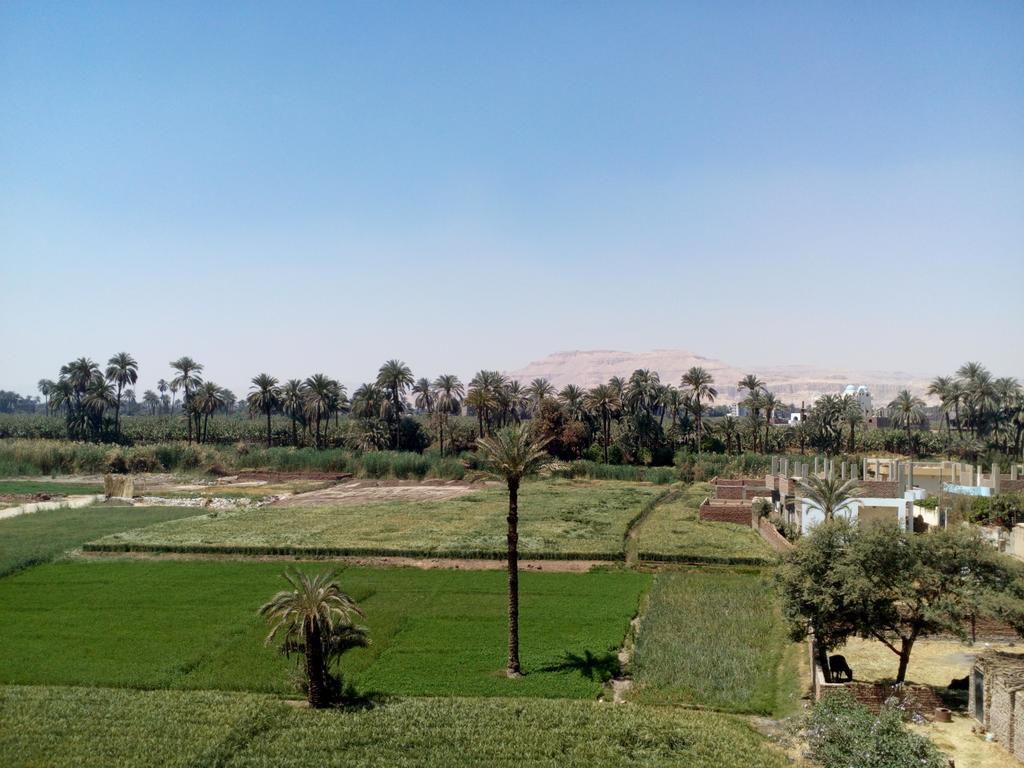Luxor Palace Apartments Ngoại thất bức ảnh