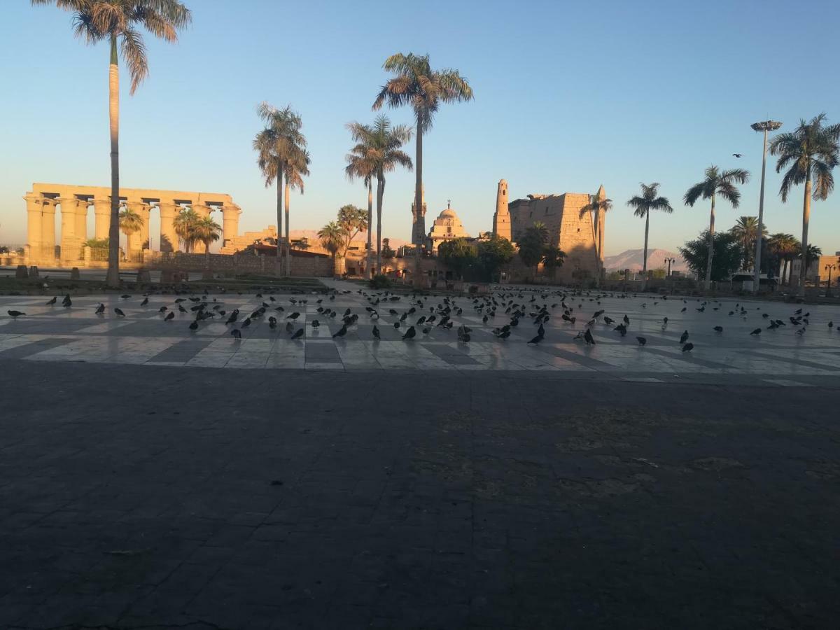 Luxor Palace Apartments Ngoại thất bức ảnh